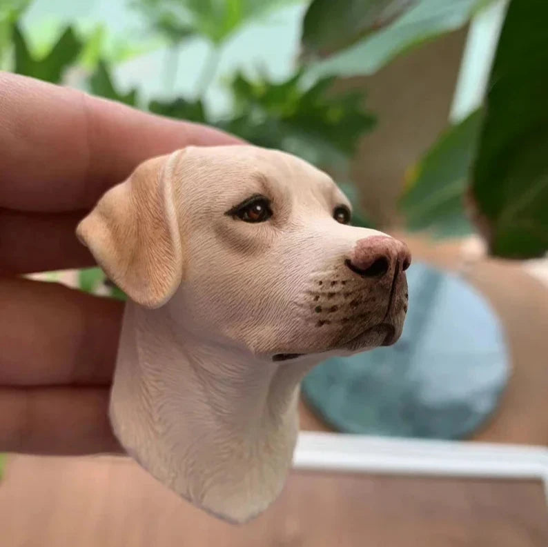 Keepsakes: A Tribute to Your Best Friend