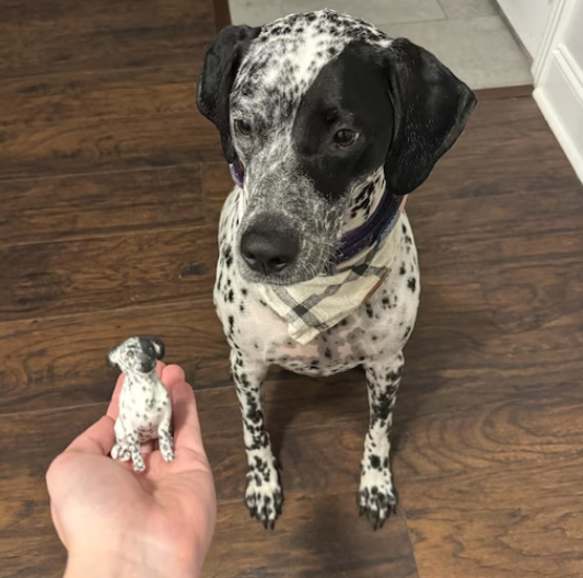 Keepsakes: A Tribute to Your Best Friend